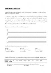 English Worksheet: Simple Present