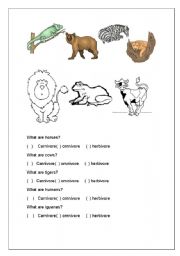 English worksheet: Animal feeding