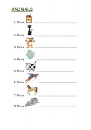 English worksheet: animals