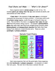 English Worksheet: animals shelter