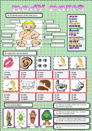 English Worksheet: Body Parts