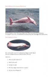 English Worksheet: a pink dolphin