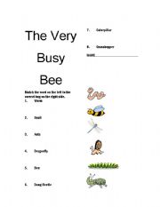 English Worksheet: Very Busy Bee
