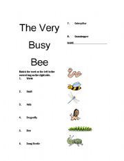 English worksheet: Very Busy Bee