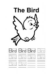 English worksheet: The bird