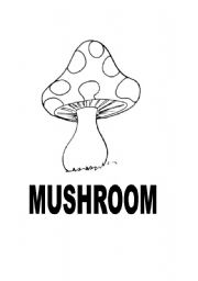 English Worksheet: Garden 