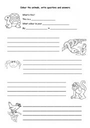 English Worksheet: Animals - Whats this? What colour is your ...?