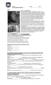 English Worksheet: Water, our vital element Test