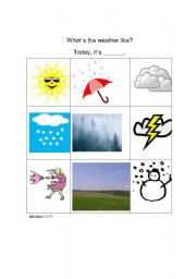 English Worksheet: Weather Survey