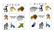 English Worksheet: Bingo animals- From head to toe