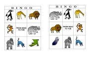 Bingo animals- From head to toe