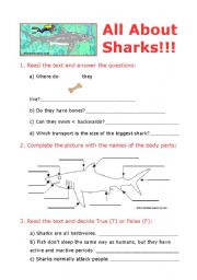 English Worksheet: All about sharks (internet activity)