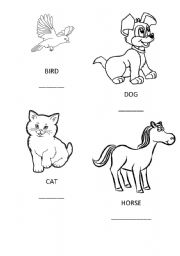 English worksheet: animals