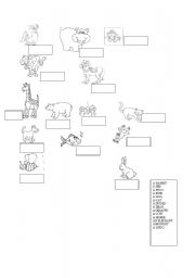 English Worksheet: ANIMALS FUN
