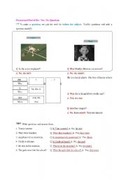English worksheet: present and past of Be 