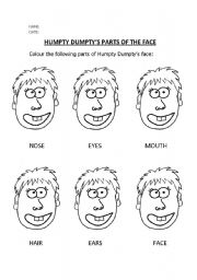 English Worksheet: Parts of the face