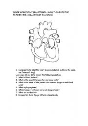 English worksheet: hjeart and circulation worksheet