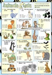 Animals Quiz