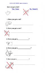 English Worksheet: Have you got a dog?