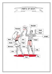 English worksheet: Parts of body