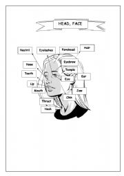 English worksheet: Parts of body 2