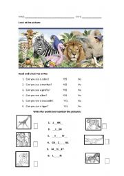 English Worksheet: Wild Animals