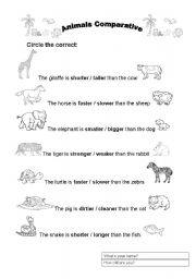 English Worksheet: Animals comparative