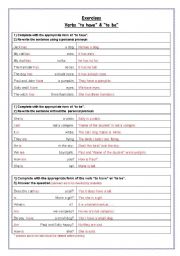 English Worksheet: Exercises - to have & to be