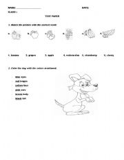 English Worksheet: test