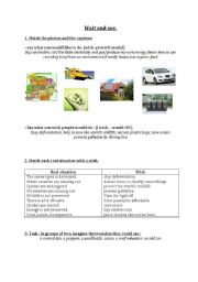 English Worksheet: wishes and the environement