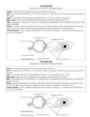 English Worksheet: eye worksheet