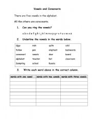 English worksheet: A Vowel and Consonant Worksheet