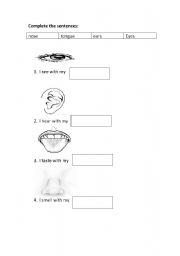 English Worksheet: social studies (senses - clothes - things in the house)