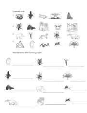 English worksheet: Costa Rican Flora and Fauna