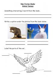 English Worksheet: Non Fiction Books