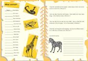English Worksheet: Animal Descriptions
