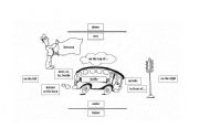 English Worksheet: prepositions
