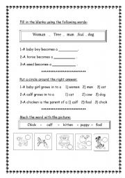 English Worksheet: animals and their babies