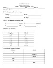 English worksheet: Singular/ Plural