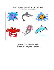 English worksheet: We are sea animals