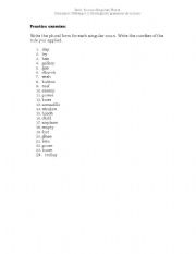 English Worksheet: Singular and Plural nouns