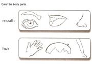 English Worksheet: Color the body parts