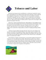 English Worksheet: Tobacco and Labor