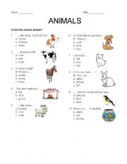 English worksheet: Animal Around Us