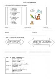 English worksheet: animals