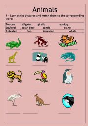 English Worksheet: Animals and their food