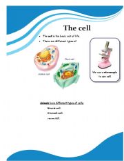 English Worksheet: The cells
