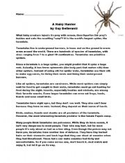 Reading Comprehension - Spider -