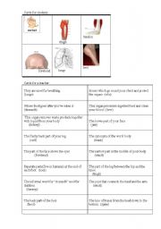 English worksheet: Body  bingo  descriptive  part  1