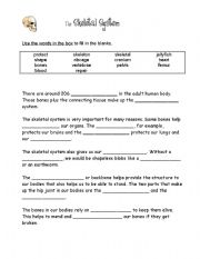 English worksheet: Skeletal system